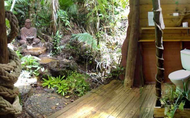 Rainforest Hideaway Cape Tribulation Room photo